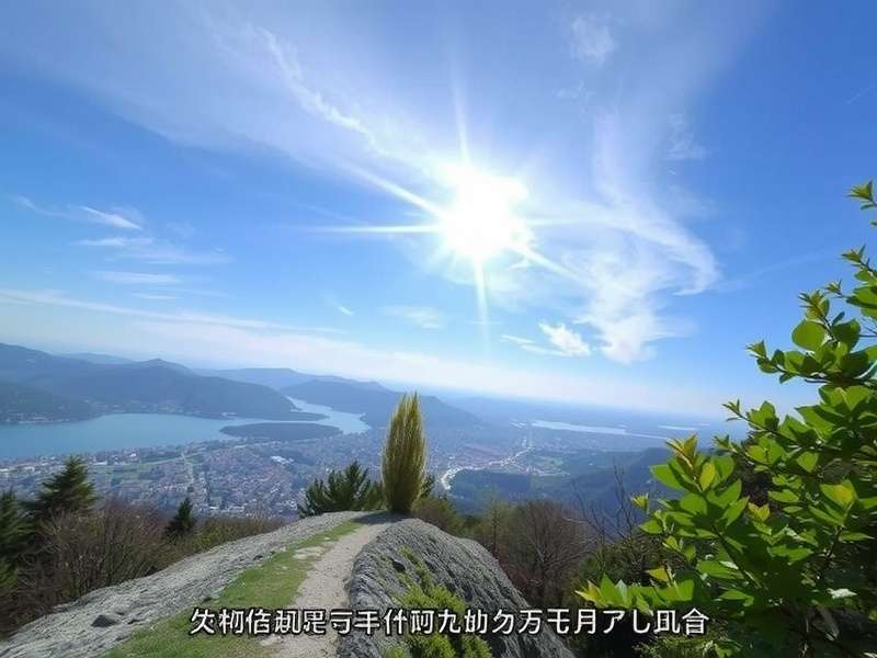 乐韵教育团队讨论会